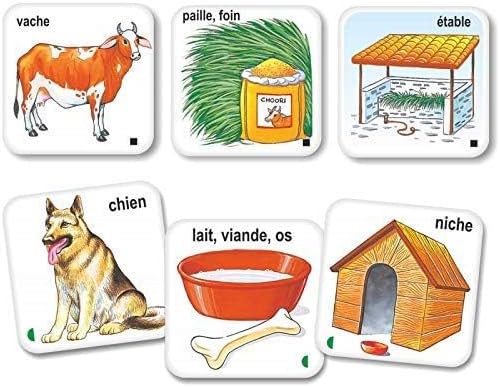 Creative's - Les animaux leurs habitats et leur repas/ 4 +ans