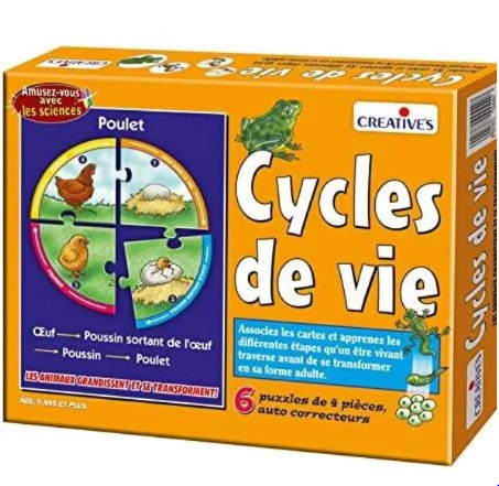 Creative's - Cycles de vie/ 5+ans