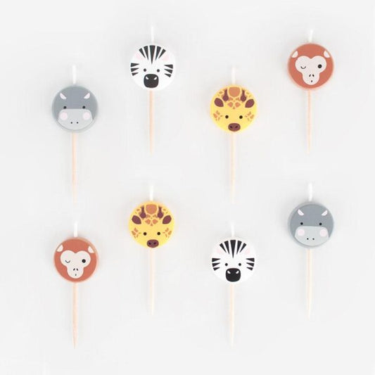 Bougies safari
